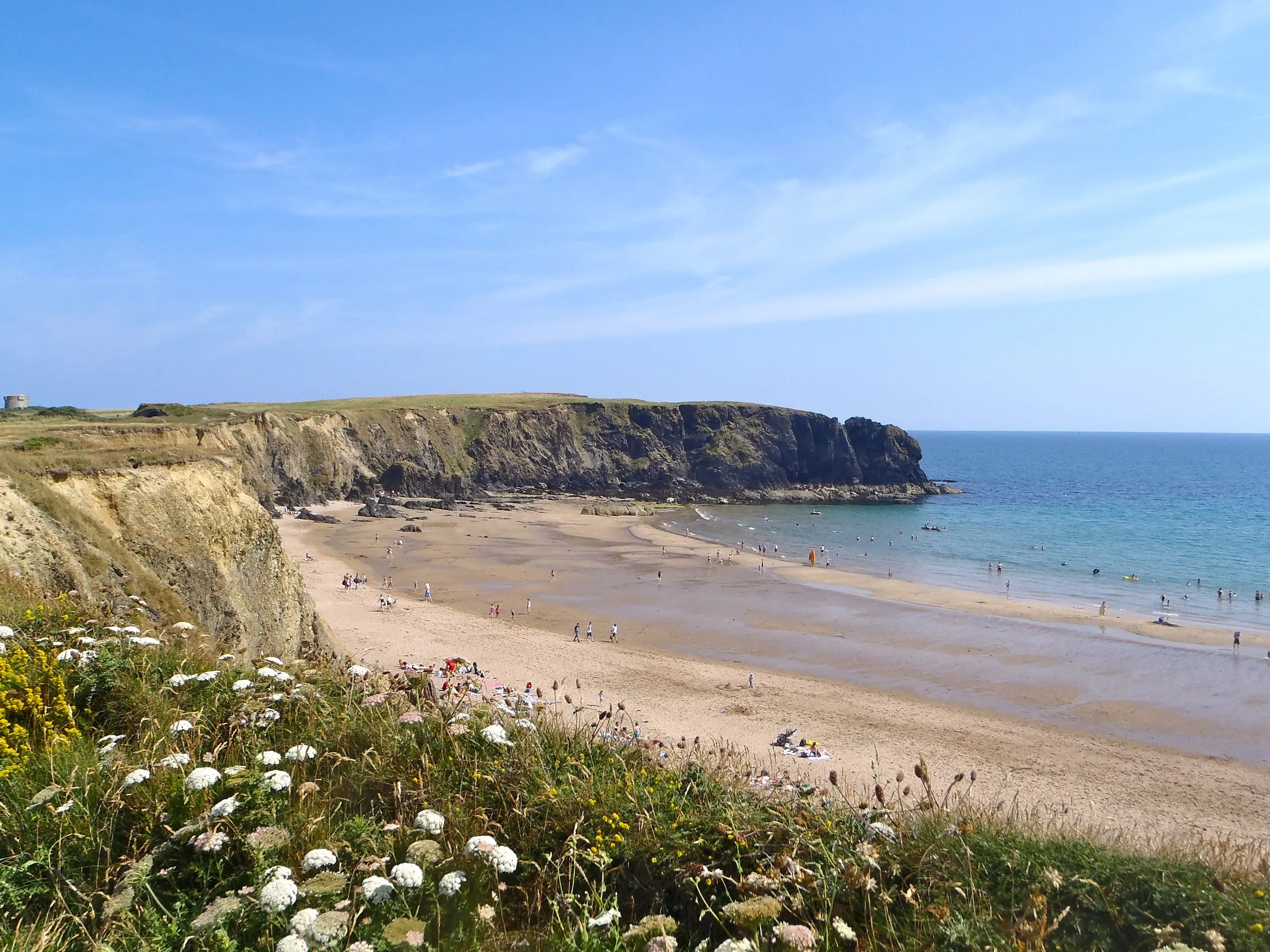 Carnivan beach: a long strand of pale sand running out to a low headland, with wildflowers on the clifftop in the foreground and swimmers in the shallows.